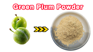 Green Plum Juice Powder