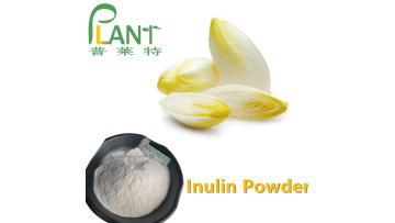 Organic inulin powder chicory root extract