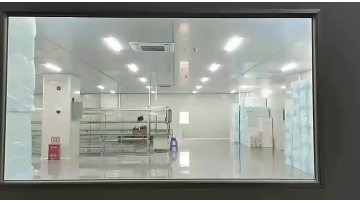 Privacy Tint Glass