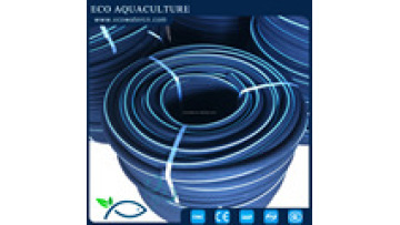 ECO Aero-tube Aquaculture Systems: Innovative Air Lift Solutions for Commercial Shrimp Farming1