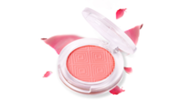 Fine High Pigmentation Blendable Pure Color and Silky Private Label Blush Makeup1