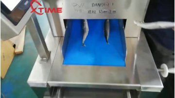 Tuna Fish Automatic Cutting Machine Slicing Machine1