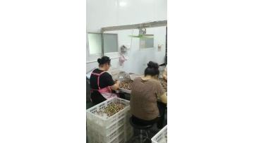 black garlic processing 1