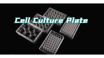 Cell Culture Plates 