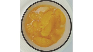 8101 top quality canned oranges