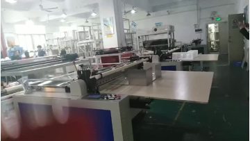 FMHZ-800 Automatic roll to sheet cutting machine.mp4