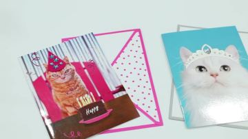 Cheaper Price Office Stationery Happy Birthday Card, Elegant Animal Cat Birthday Greeting Cards1