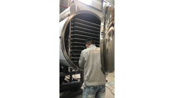 Freeze Dryer For Fruit Vegetables Industrial Small