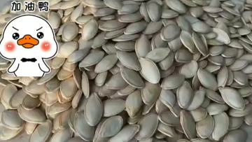 Pumpkin seeds Processing