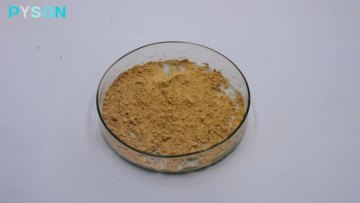 6 silybin and isosilybin 30% hplc 45%