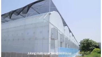 agricultural greenhouses hydroponics growing vegetables multi-span plastic film tunnel greenhouse invernadero1