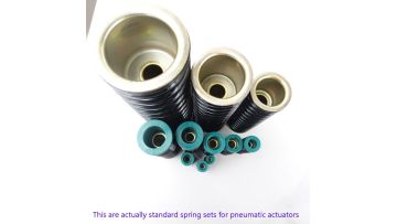 pneumatic actuators spring (1)