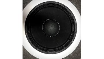 PAUDIO Full Range Super PA Subwoofer 15 Inch Woofer C15600EL dj bass speakers1