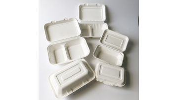 Bagasse pulp clamshell