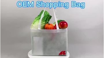 Non Woven Shopping Bag