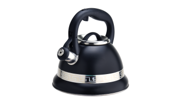 FH-382 popular coated solid stainless steel kettle