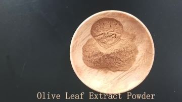 Olive Leaf Extract Powder