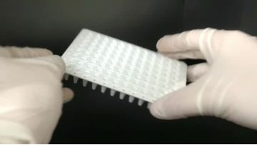 0.2ml 96-Well PCR plate  Without Skirt