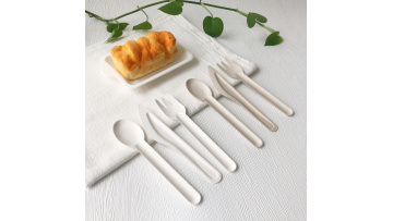 biodegradable bagasse cutlery bagasse knife fork spoon