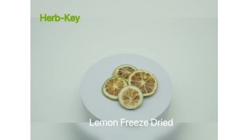 Lemon Freeze Dried