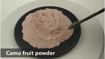 Camu fruit Powder.mp4