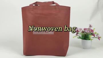Non Woven Shopping Bag
