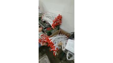 Factory Cable Test