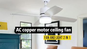 Small ceiling fan with light