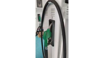 Standard Two Nozzle Gasoline Fuel Dispenser