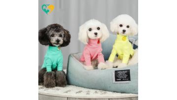 pet clothing sewing patterns