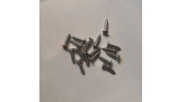Steel screws (1)
