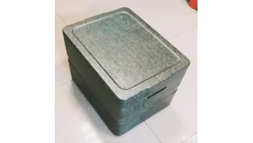 Outdoor Durable EPP Foam Portable Cooler Cold Storage Box1