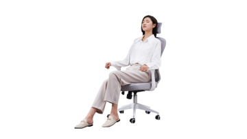 Ergonomic Computer Chair