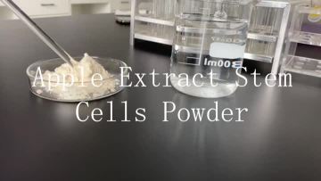 Apple Extract Stem Cells Powder