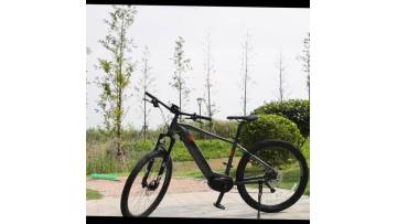 Electric Mountain Bike MC02