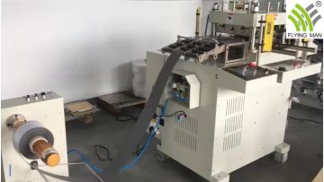 ENZO-350PL DIE CUTTING PRODUCTION LINE.mp4