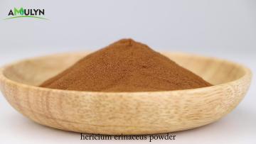 hericium erinaceus powder