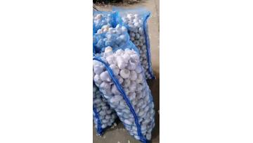 fresh normal garlic 10kg mesh bag.mp4