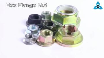 HEX FLANGE NUTS.mp4