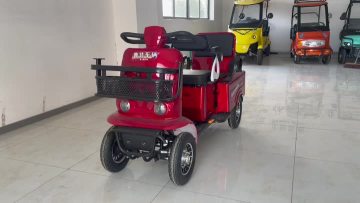 Four wheeled mobile busLB-619
