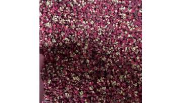 Sichuan red pepper wholesale