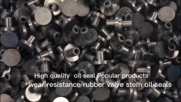 manufacturer high quality automotive engine stem fkm fpm cylinder head valve oil seal1