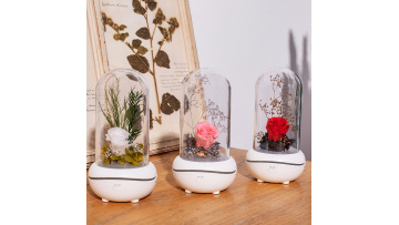 X005 Rose Flower Aroma Diffuser