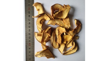 A01 Top Quality Dried Apple Slices