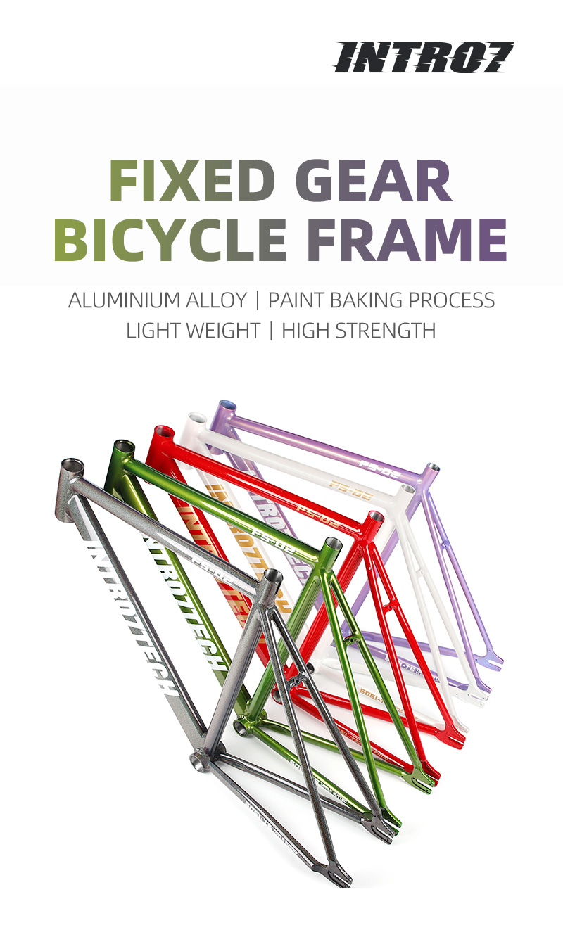 Fixed Gear Bike Frame