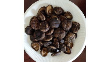 7901-quality fried shiitake mushrooms