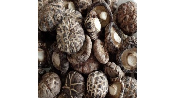 dried shiitake mushroom