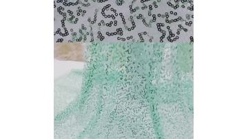 big hold mesh with 3mm sequins embroidery fabric