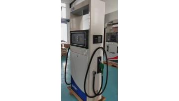 Standard Two Nozzle Petrol Fuel Dispenser