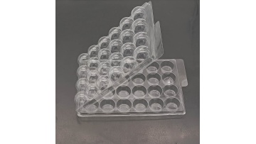 24 cavity clamshell blister